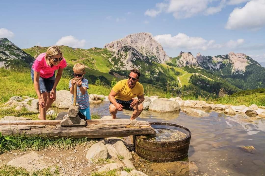 Apartment Wild - Im Skigebiet Gerlitzen & Ossiacher See Bodensdorf Eksteriør bilde
